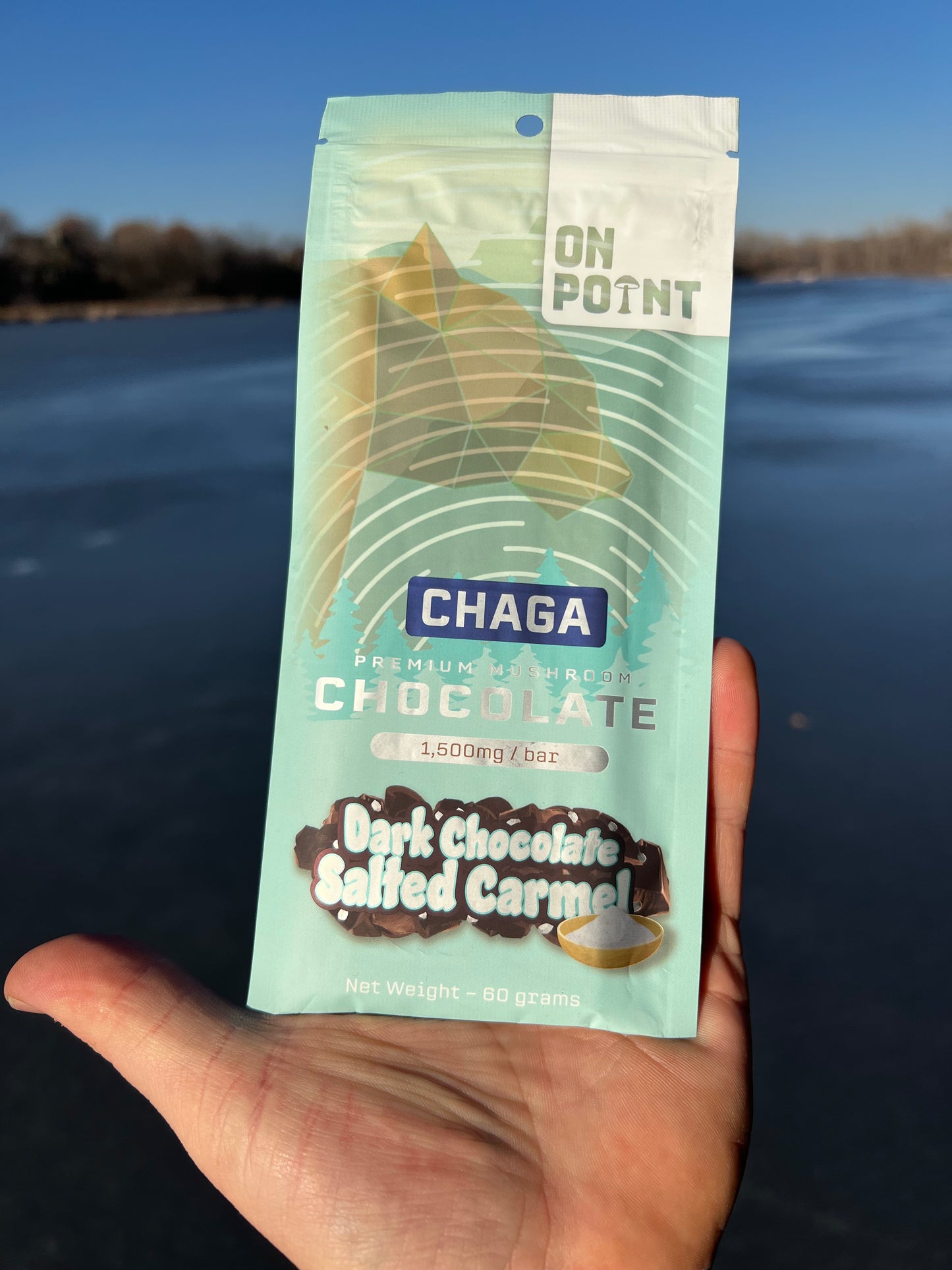 ON POINT Chaga Dark Chocolate Salted Caramel Overall Health Bar