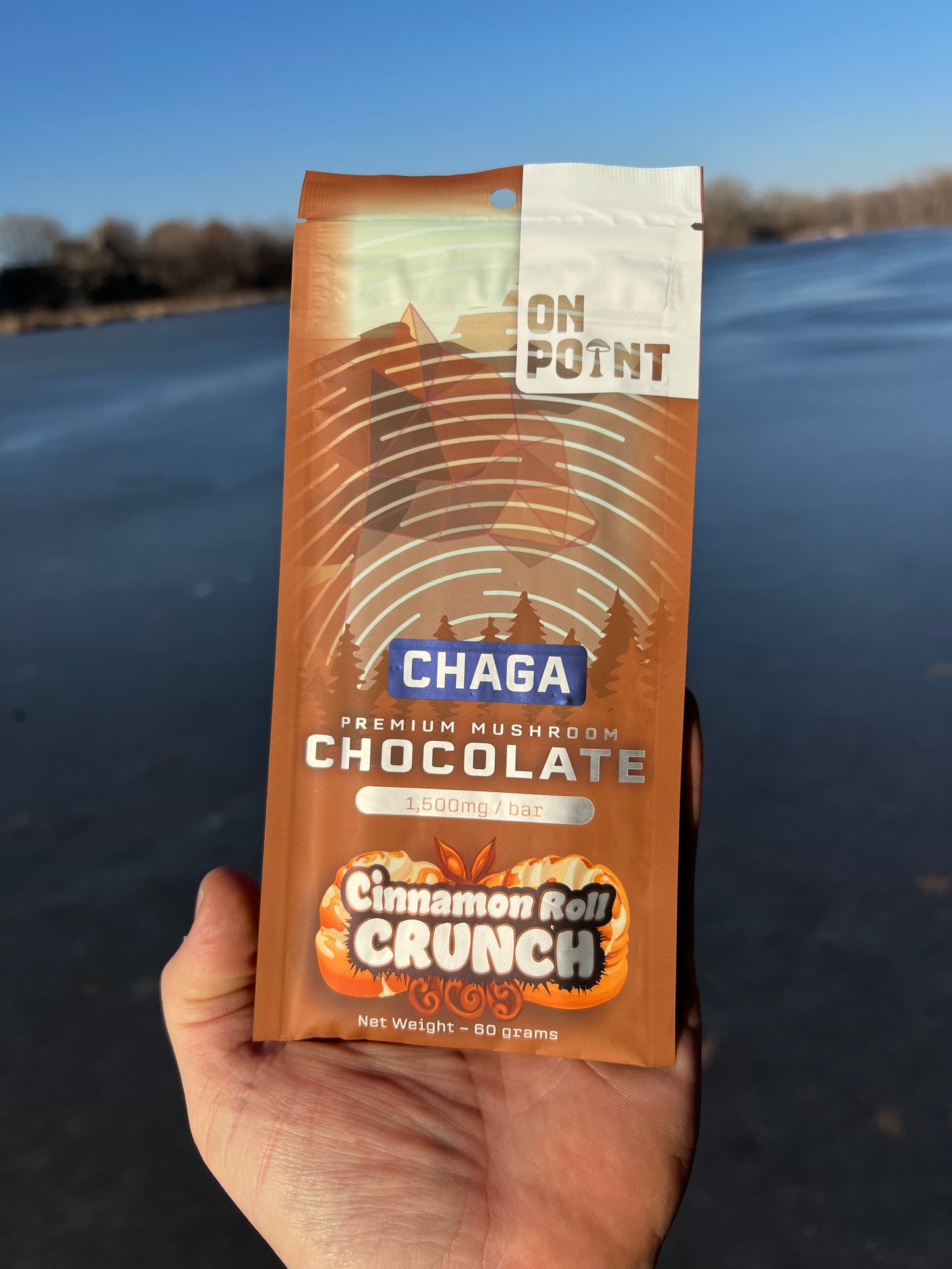ON POINT Chaga Cinnamon Roll Crunch Overall Health Bar