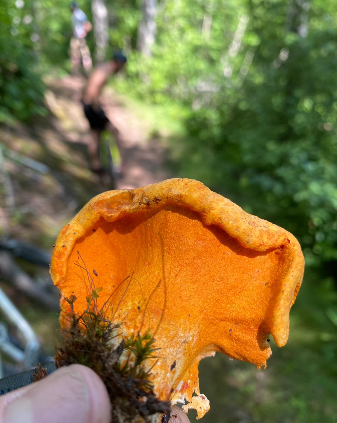 On Point Foraging Summer class