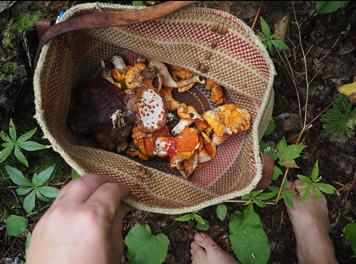 On Point Foraging Fall class