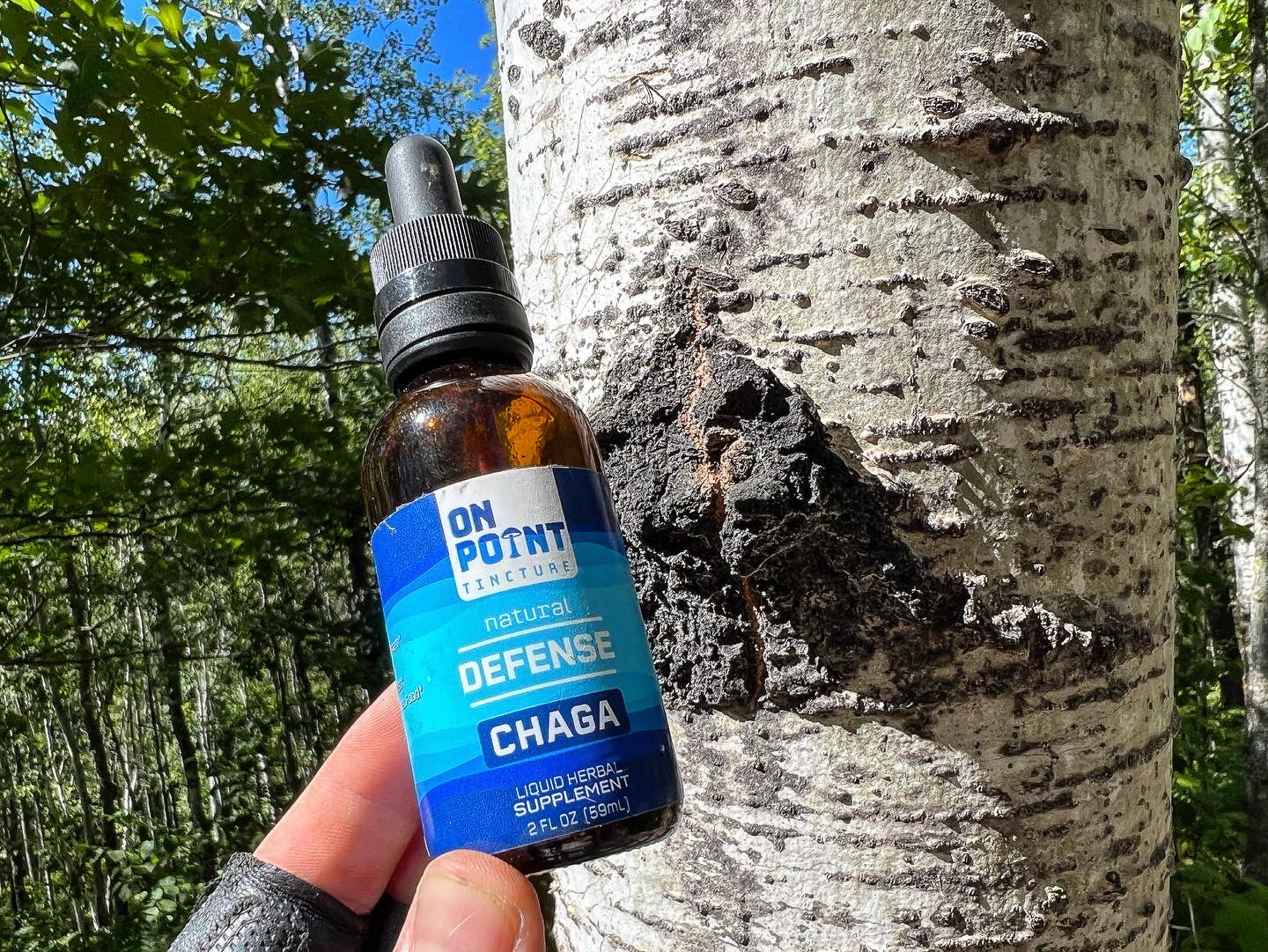 ON POINT Minnesota Chaga Inner Defense Tincture